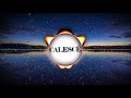 Zayn Malik - Pillow Talk (CALESCE Remix) [NEW REMIX 2017]