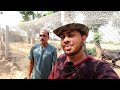 ऐसा शानदार Desi Aseel Murga फॉर्म आपने देखा नहीं होगा | Aseel Murgi Farm | Aseel Poultry Farm