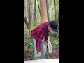 Harvesting Cedar Bark: The Ojibwe Method