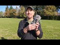 Gossamer Gear Shoulder Strap Pocket Review | Everything Backpackers and Hikers need to know