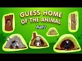 Guess Home of Animals PART 2 | 20 Animals and their Homes