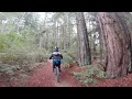 First time mountain biking in Santa Cruz. Campus and Harvey West