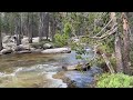 Nelson Creek - Dinkey Lakes Wilderness