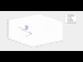 Gait Analysis animation for novel PCT