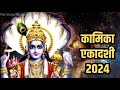 कल 31 जुलाई 2024 कामिका एकादशी के तुलसी के पौधे में बांध देना ये 1 गुप्त चीज इतना.#एकादशी