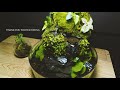 Tabletop Waterfall Fountain Aquaterrarium Of Plastic Bottle DIY Aquarium Aquascape No Co2,no Filter