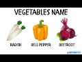Vegetable Name Vocabulary | English vocab for kids #vegetables #vegetablesnames #kids #words #verbs