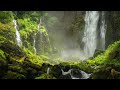 Relaxing Zen Water Sounds • Peaceful Ambience for Spa, Yoga and Relaxation (8 hours)