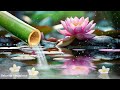 🎹Relaxing music Relieves stress, Anxiety and Depression 🌿 Heals the Mind, Deep Sleep, Water Sound♬