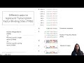 Introduction to Motif Discovery and Transcription Factor Binding Site Analysis