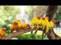 All Your Worries Will Disappear If You Listen To This Music - Soothing Relaxing Music, Healing Music