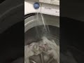 Samsung washer spray jet action