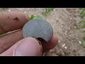 Roman Giant And A Medieval Mystery | Metal Detecting UK | Minelab Manticore |#roman #medieval #viral