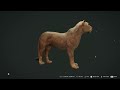 Can We Recreate My Most Insane Mount With NEW Rare Lions? (Breadwinner) Call of the wild