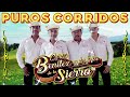 Los Benitez de la Sierra Mix Para Pistear _ Lo más Picudo de la Sierra -- Puros Corridos y Rancheras