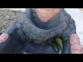 фантан-водопад своими руками/DIY-из обычной детской ванночки и цемента