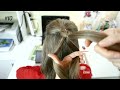 10 easy and simple braided hairstyles! Most beautiful hairstyles! For every day!