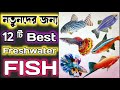 Top 10 Small Freshwater Fish For Nano Tank || Tiny Fish For Aquarium in Bengali || Expert Aquarist