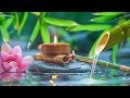 Beautiful Relaxing Piano Music with Flowing Water Sounds - Meditation and Tranquility, Bamboo
