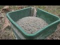 Adding Perennial Plants for Whitetail Habitat - Clover and Switchgrass Seeding