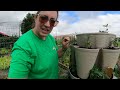 2024 Greenhouse & Garden Tour Week 4: TOO MUCH of a Good Thing!!