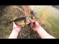 Early Spring Pond Fishing For BIG Bass! (Back to Back Giants!)