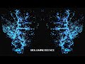 Animadrop - Bioluminescence