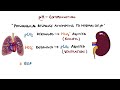 Blood Gas Interpretation Made Easy (Learn How To Interpret Blood Gases In 11 Minutes)