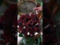 গোলাপ সংগ্রহ- এব্রাডেব্রা খয়েরী গোলাপ 🌿#rose #gardenflowerplants #flowers #garden