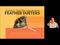Activities for Those Who Have Dementia - Feather Dusters