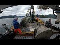 Salmon Fishing in Alaska - Big 20k lb Set !