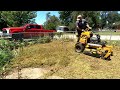 Random Homeowner SHOCKED At Lawn Transformation