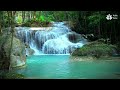 Calming jungle scenery. Turquoise waterfall sounds for sleep, relax, study