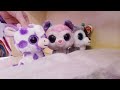 Mysteries of Mystic Island/Beanie boo series/Episode 7: I'm Sorry