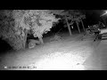 Unknown anomalies in my yard recorded by IR security camera