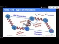 Molecular Dynamics Simulations - Introduction to Beginners