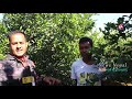 नेपाल आर्मिको पेन्सन पछि कागती खेतिबाट लाखौ कमाउदै नरेन्द्र | lemon farming nepal || News Nepal