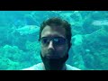 Florida Aquarium Adventure... Search for Monke: Part 1