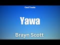Brayn Scott  - Yawa (Audio)