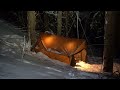 Heavy snow solo camping | Hot tents and hammocks | Broken chimney.