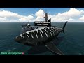 Sharks Size Comparison 3D Animation || The Megalodon in comparison with El Gran Maja Monster ??