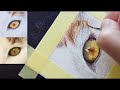 How to Paint a Realistic Cat Eye in Watercolor, Course Preview