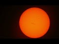 giant sunspots 2024