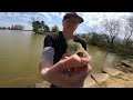 Spring Bait & Multi Species Fishing!!!!