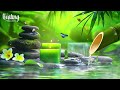 Healing Music for Anxiety Disorders, Calming Music, Meditation Music, Natural Sounds, Bamboo - Relax