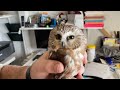 Owl Talk With Martin Tyner