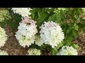 Garden Tour of Updates, DIY, and Styling a Garden Thrift Find!😊🌺🙌