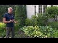 Wednesdays with Wayne- Reliable Landscape Design for Shade