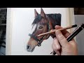 How to Choose the Right Coloured Pencils for Your Animal Portraits | Materials Guide
