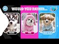 Would You Rather...? BLACK, PINK or BABY BLUE 💗🖤💙 Daily Quiz
